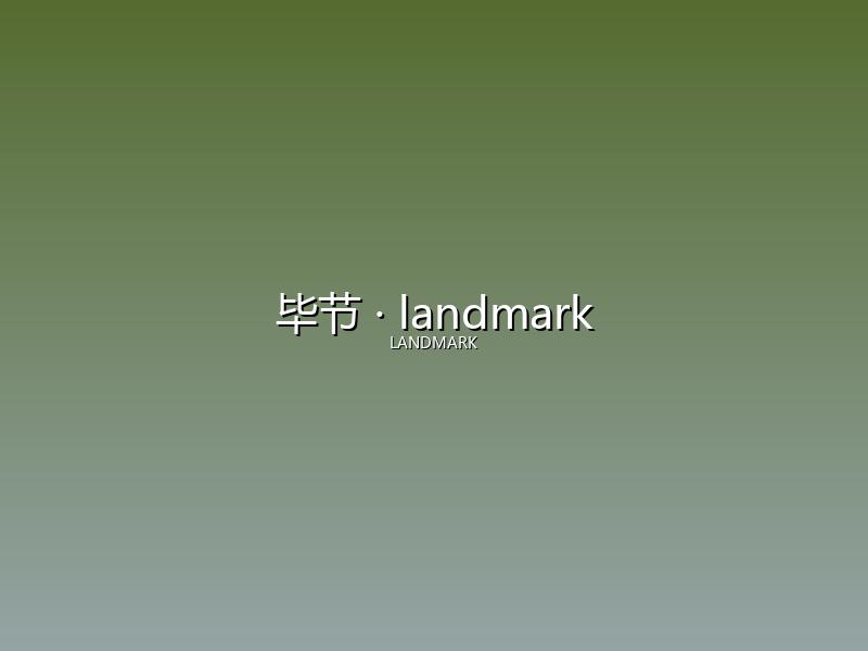 毕节 landmark