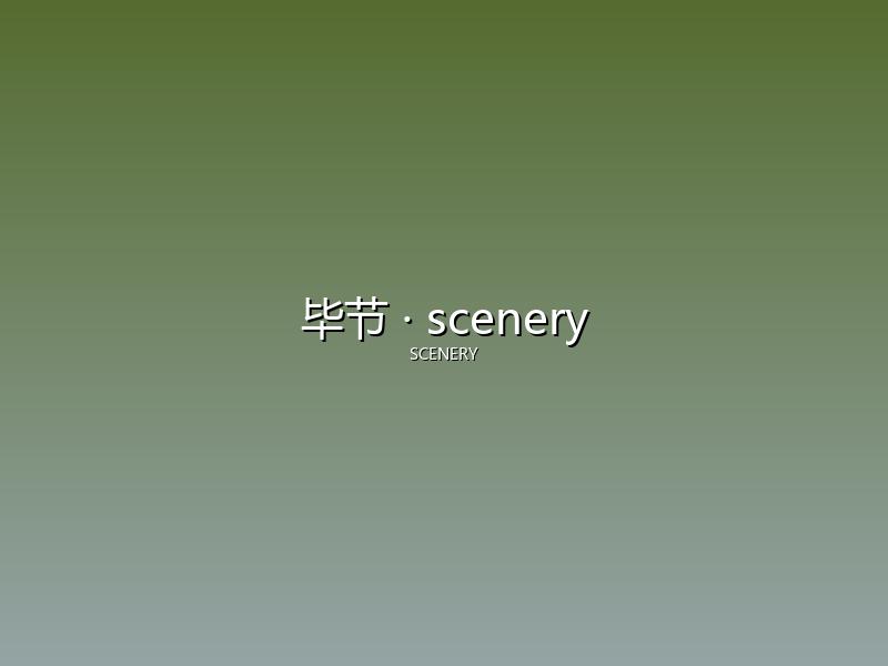 毕节 scenery
