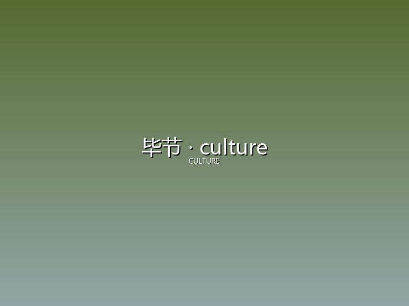 毕节 culture