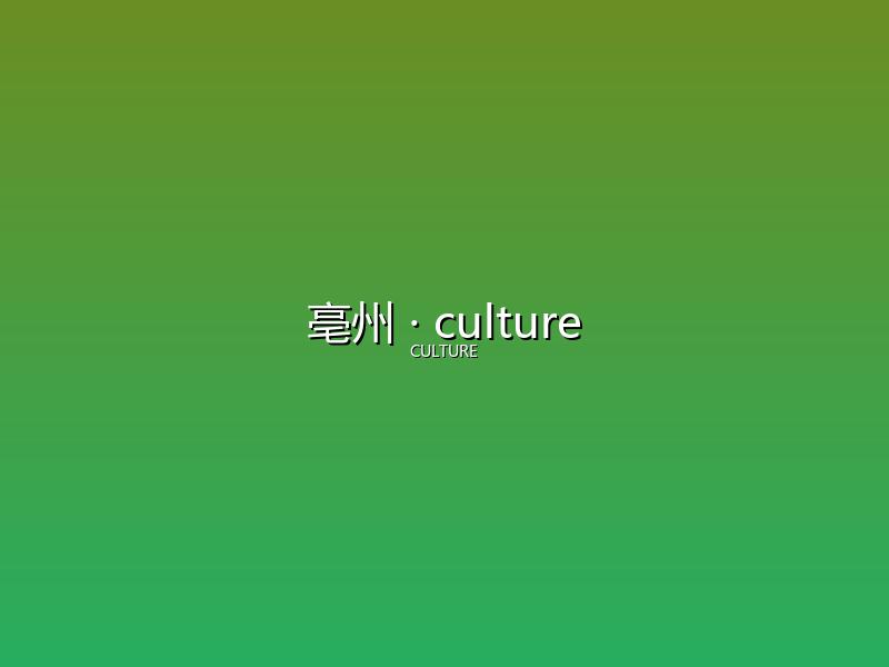 亳州 culture