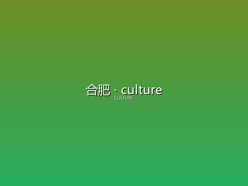 合肥 culture