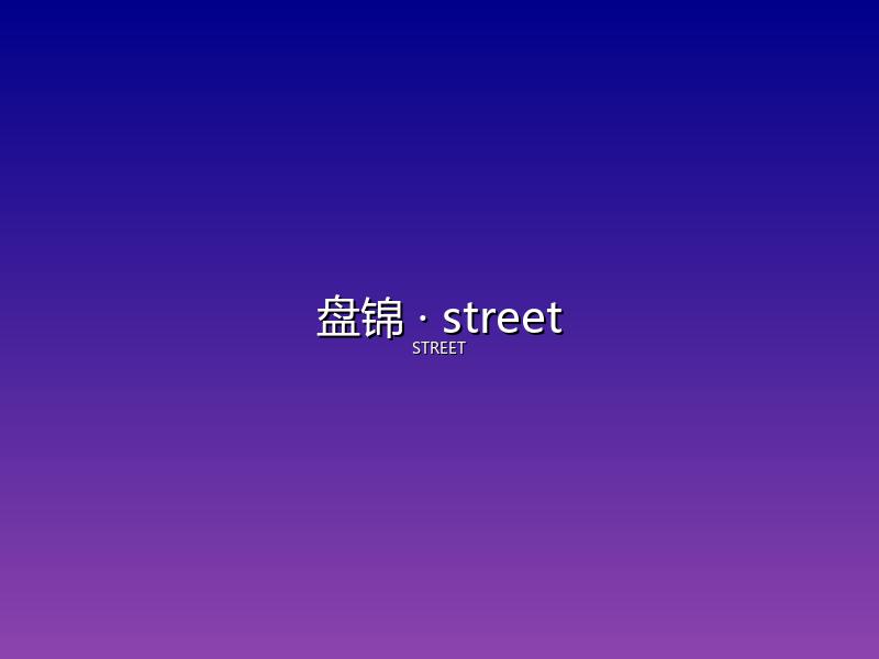 盘锦 street