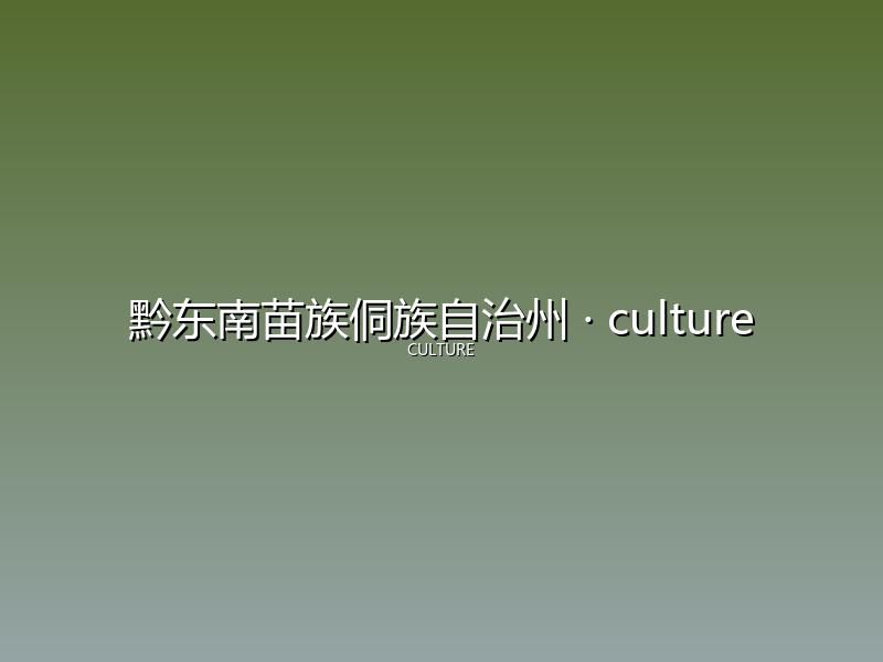 黔东南苗族侗族自治州 culture
