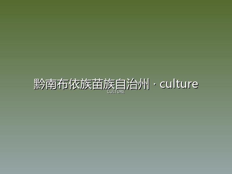 黔南布依族苗族自治州 culture