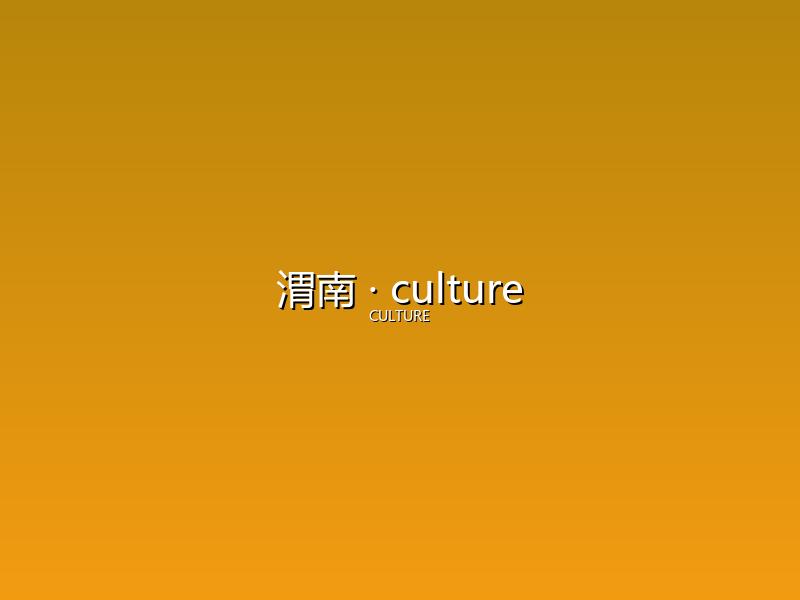 渭南 culture