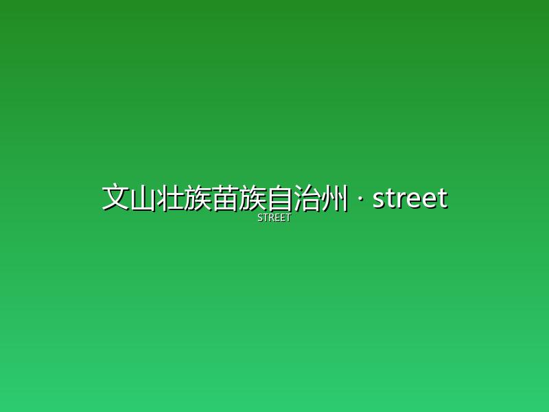 文山壮族苗族自治州 street