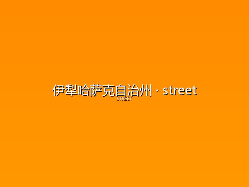 伊犁哈萨克自治州 street
