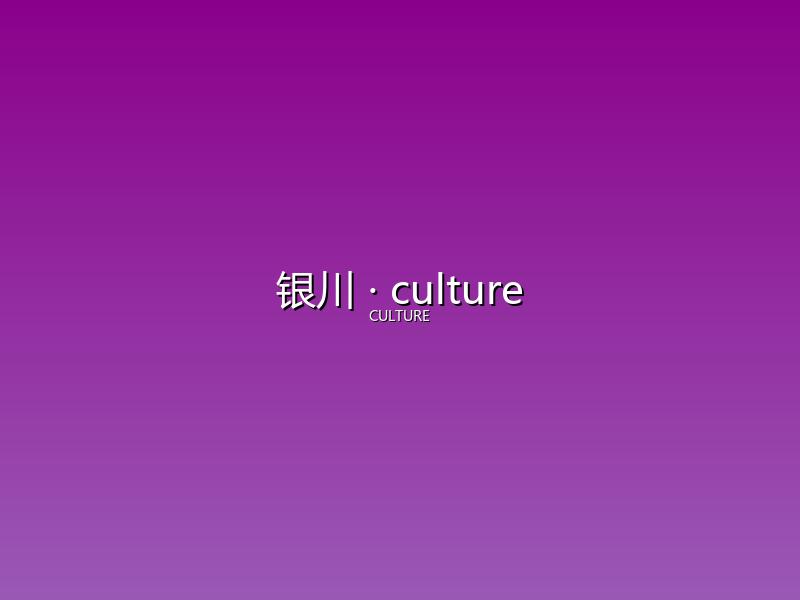 银川 culture