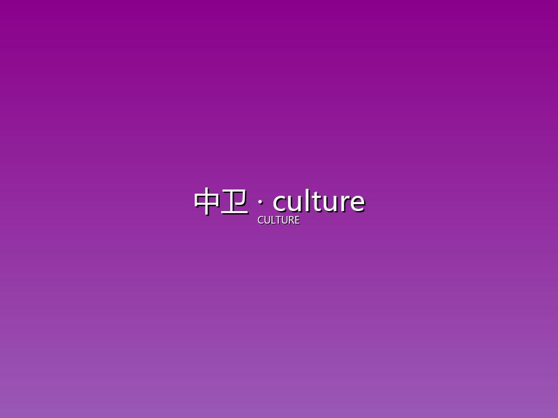 中卫 culture