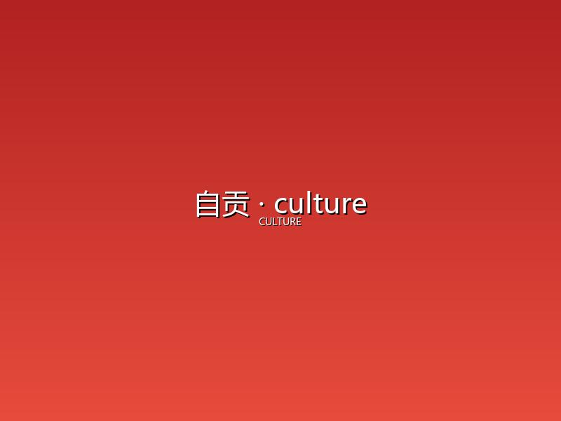 自贡 culture